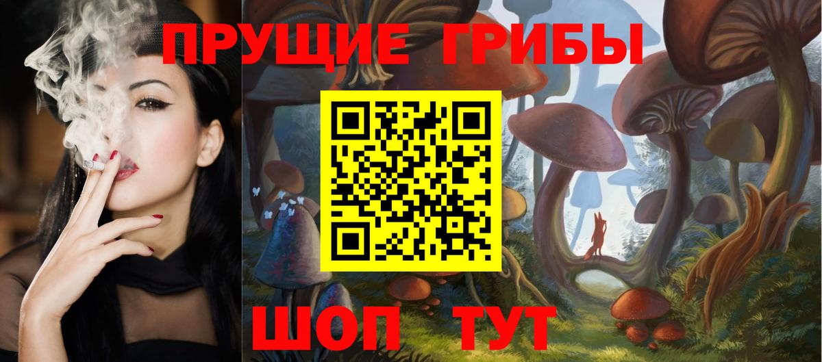 Конаково  Галлюциногенные грибы Cubensis  Вход с VPN 