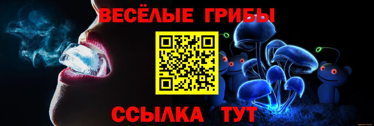 Псилоцибиновые грибы MAGIC MUSHROOMS Конаково